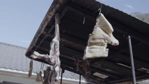 Stock Video Jerky Drying Under A Metal Roof Animated Wallpaper