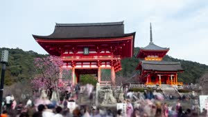 Stock Video Japanese Temple Entrance Time Lapse Animated Wallpaper