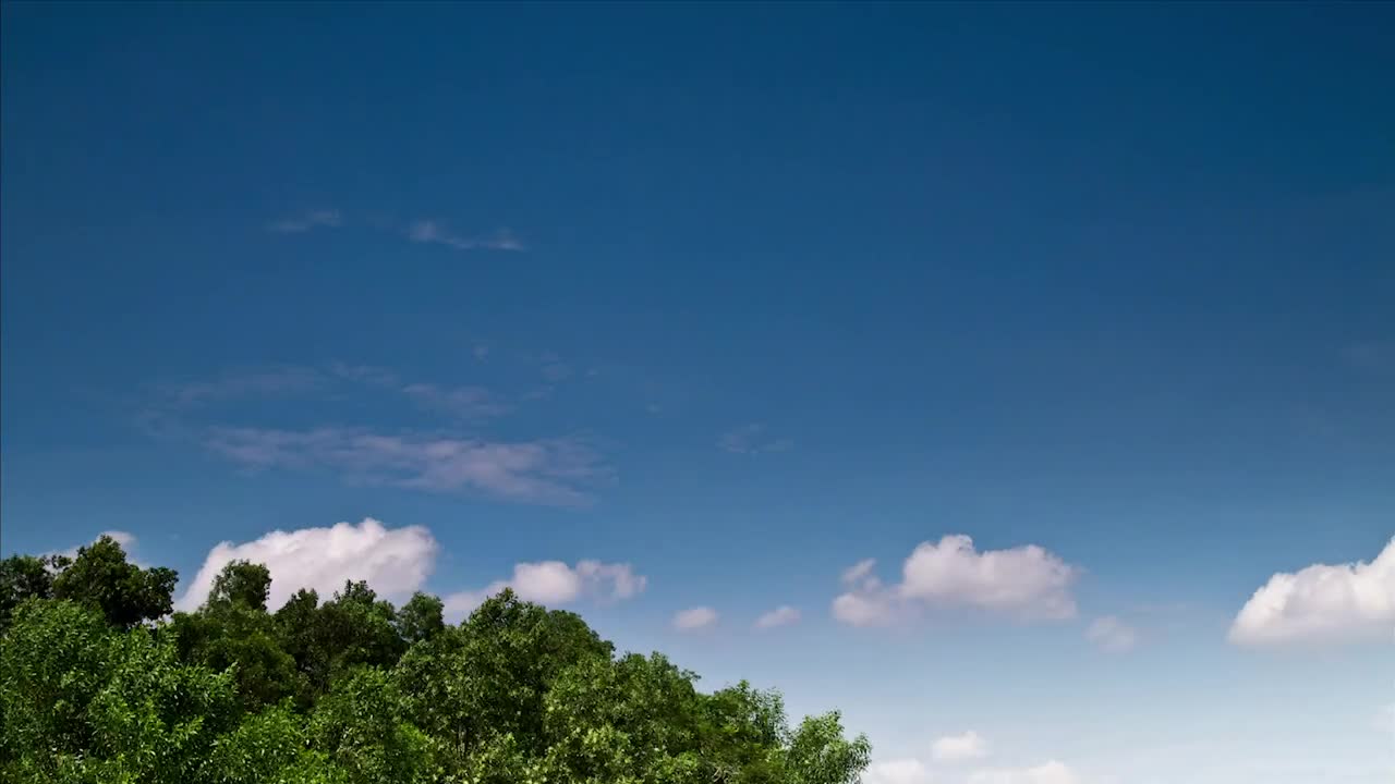 Download Stock Video Island Forest Blowing In The Wind Animated Wallpaper