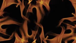 Stock Video Intense Flames On Black Background Animated Wallpaper