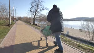 Stock Video Homeless Man Walking By The Lake Animated Wallpaper