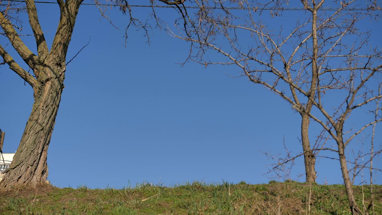 Download Stock Video Homeless Man In The Park Animated Wallpaper