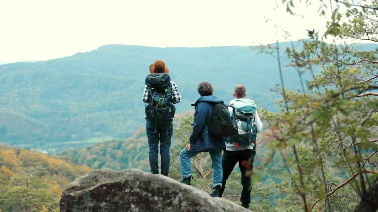 Download Stock Video Hikers Admire The Forest Valley Landscape View Animated Wallpaper