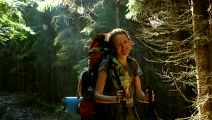 Stock Video Hiker Woman With Big Backpack In The Forest Animated Wallpaper