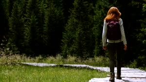 Stock Video Hiker Woman Walking Through The Forest Animated Wallpaper