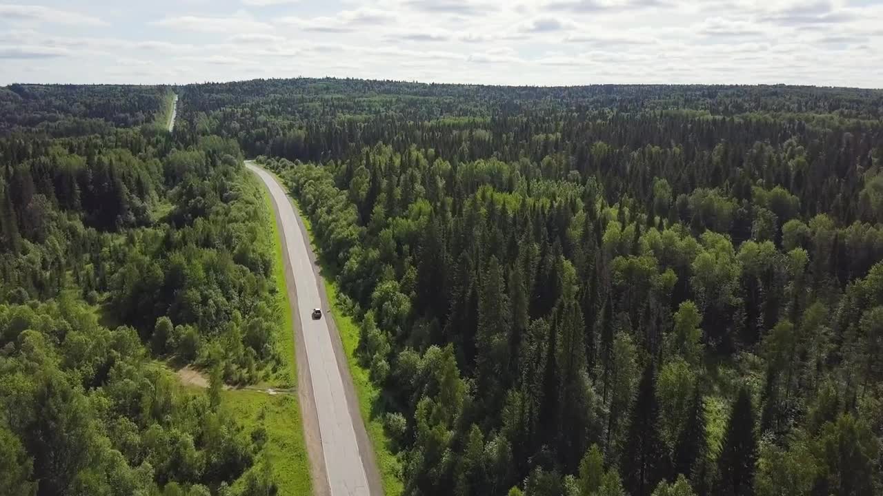 Download Stock Video Highway Through A Large Forest Animated Wallpaper