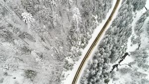 Stock Video Highway Crossing A Winter Forest Animated Wallpaper