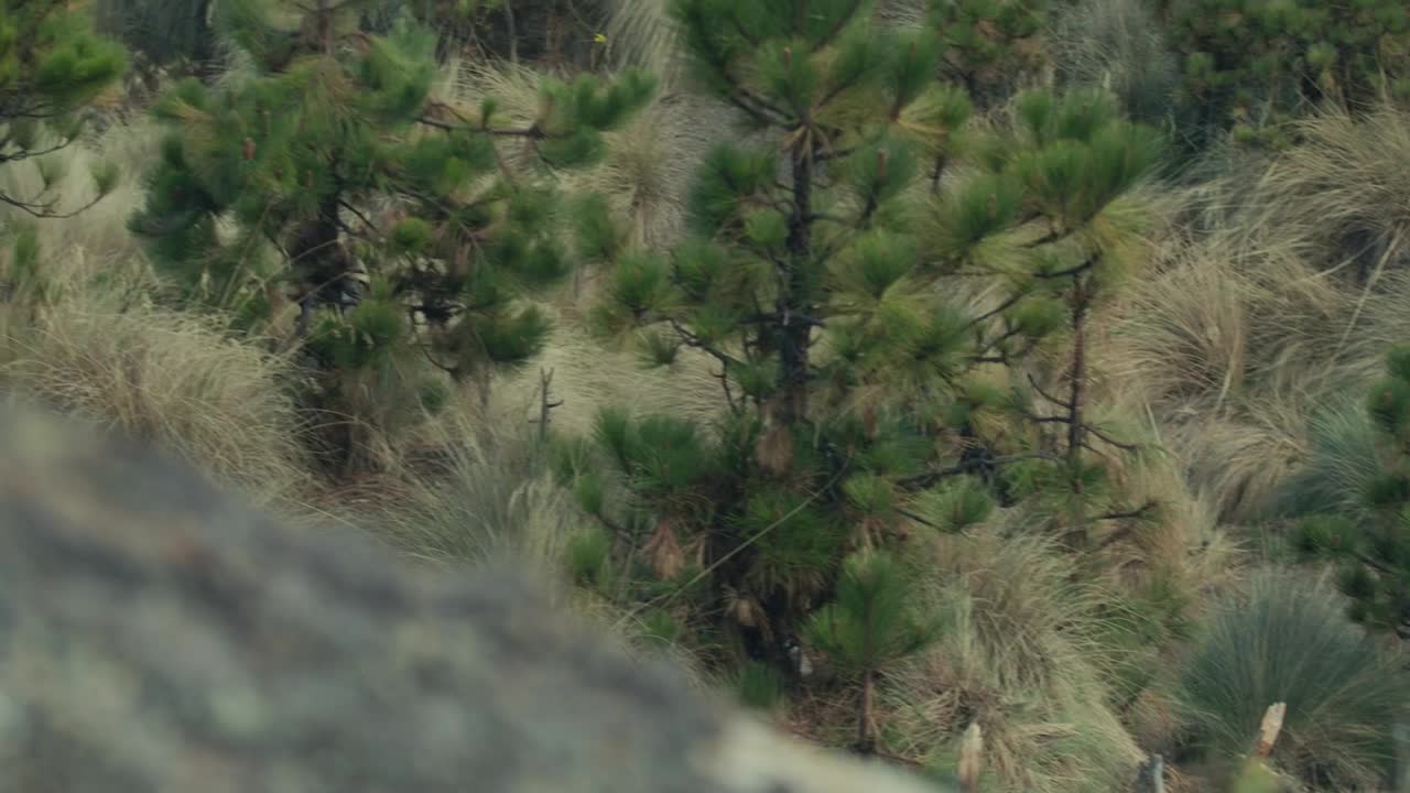 Download Stock Video High View Of Young People Hiking Animated Wallpaper