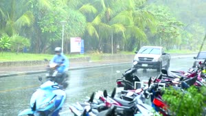 Stock Video Heavy Rain On The Road Animated Wallpaper