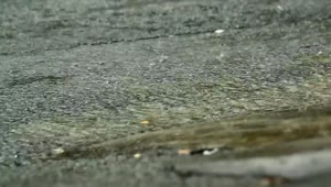 Stock Video Heavy Rain On A Road Surface Animated Wallpaper