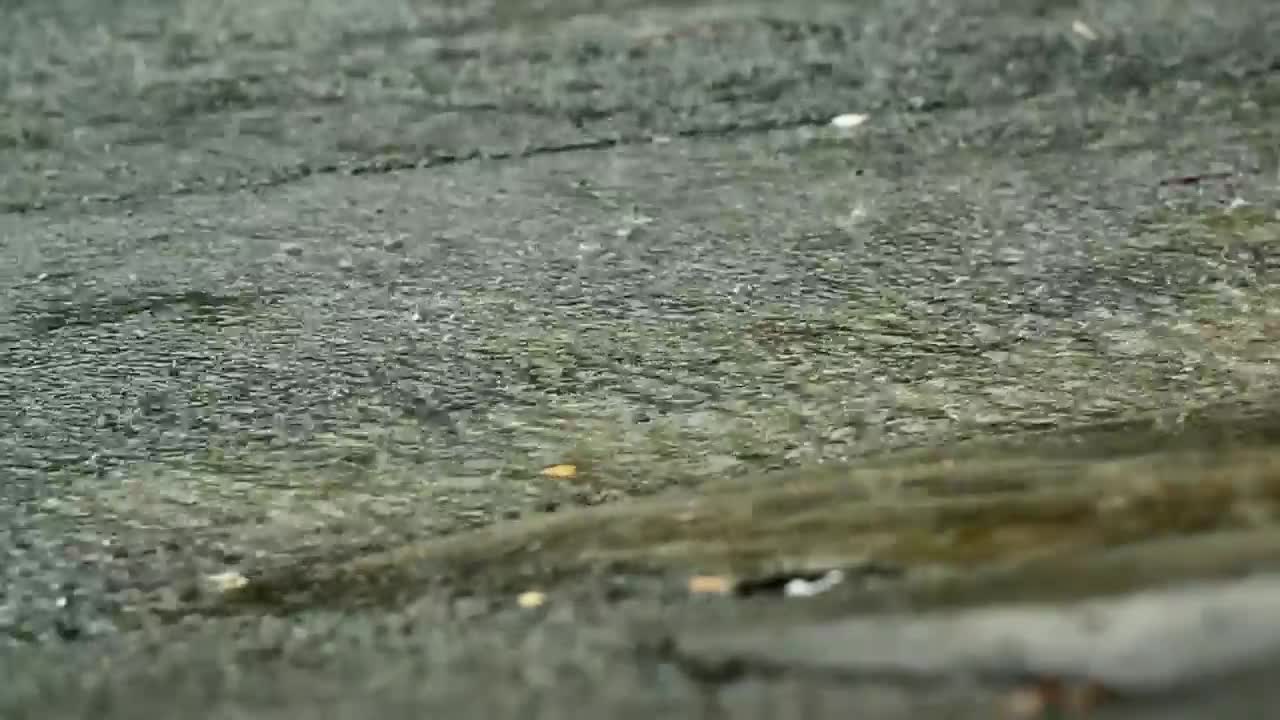 Download Stock Video Heavy Rain On A Road Surface Animated Wallpaper