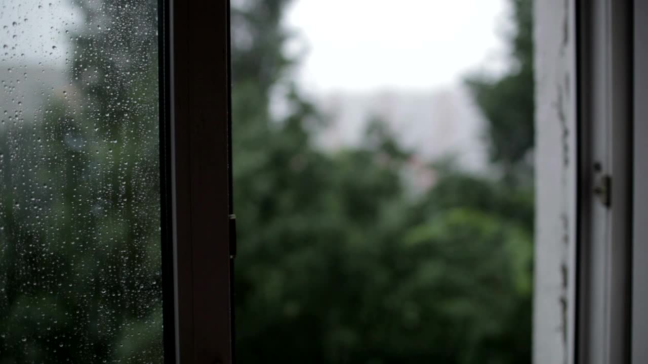 Download Stock Video Heavy Rain From An Open Window Animated Wallpaper