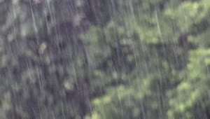 Stock Video Heavy Rain Falling Animated Wallpaper