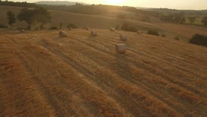 Stock Video Hay Rolls In An Agriculture Field At Sunset Animated Wallpaper