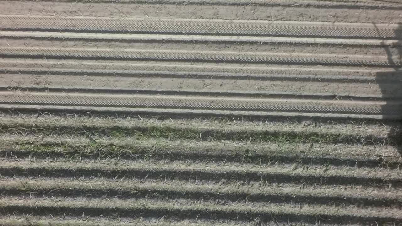 Download Stock Video Harvesting Potato Crops Animated Wallpaper