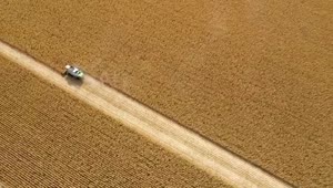 Stock Video Harvesting Large Fields Of Crops Smal Animated Wallpaper