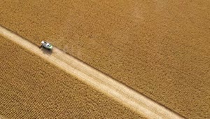 Stock Video Harvesting Large Fields Of Crops Animated Wallpaper