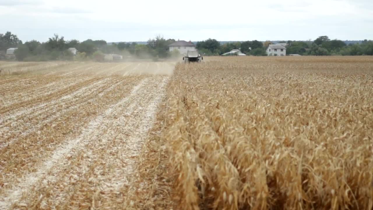 Download Stock Video Harvester Cutting Down Crops Animated Wallpaper