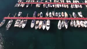 Stock Video Harbor Full Of Small Yachts And Boats Animated Wallpaper