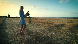 Stock Video Happy Woman In The Field With Sunflowers And A Blue Animated Wallpaper