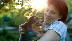 Stock Video Happy Lady Caresses Her Little Dog Animated Wallpaper