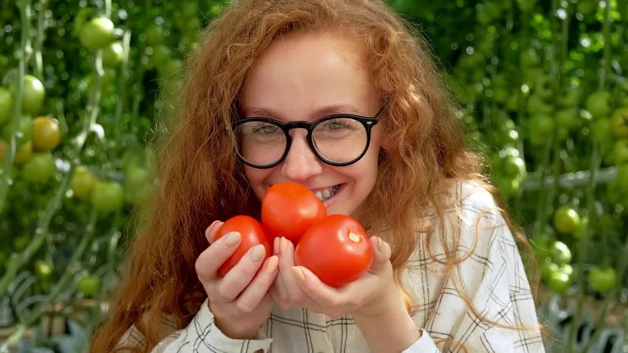 Download Stock Video Happy Farmer Smiling While Holding Tomatoes On Hands Animated Wallpaper