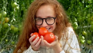 Stock Video Happy Farmer Smiling While Holding Tomatoes On Hands Animated Wallpaper