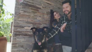 Stock Video Happy Couple Petting Their Dog Animated Wallpaper