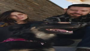 Stock Video Happy Couple Petting Their Dog 4273 Animated Wallpaper