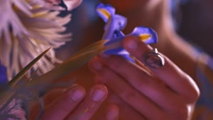 Stock Video Hands Of An Lgbtq Man Playing With A Flower Animated Wallpaper