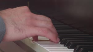 Stock Video Hands Of An Expert Pianist Playing A Song Animated Wallpaper