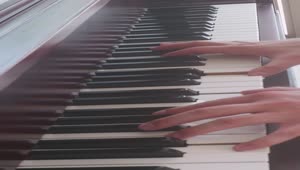 Stock Video Hands Of A Talented Pianist Skillfully Playing Animated Wallpaper