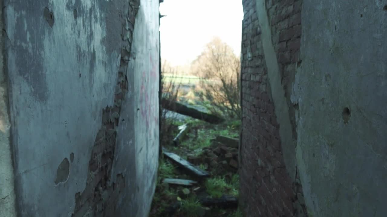 Download Stock Video Landscape Surrounding An Abandoned House Animated Wallpaper