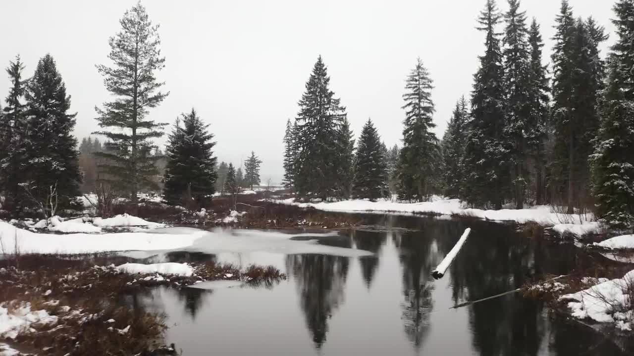 Download Stock Video Landscape Of A Snowy Forest With A River Animated Wallpaper