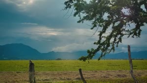 Stock Video Landscape Of A Large Open Field On A Sunny Afternoon Smal Animated Wallpaper