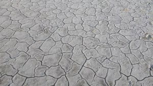Stock Video Land Soil Cracked From Drought Animated Wallpaper