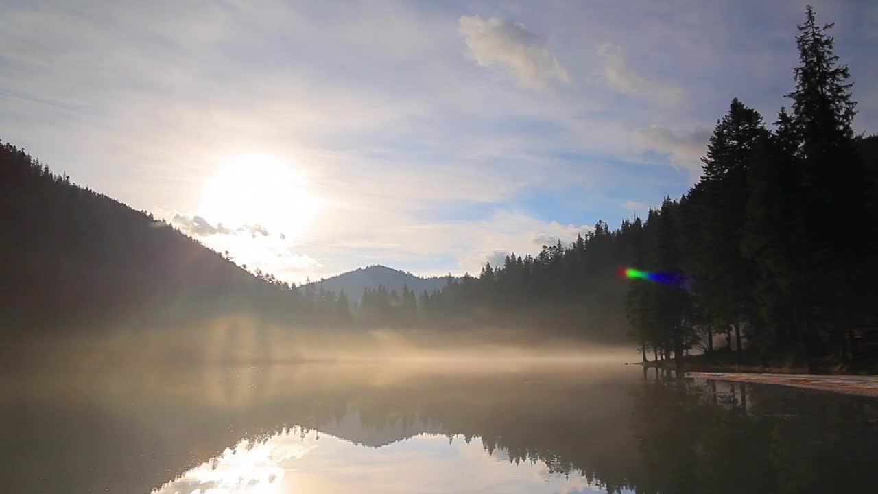 Download Stock Video Lake With Mist In The Middle Of A Forest With Animated Wallpaper