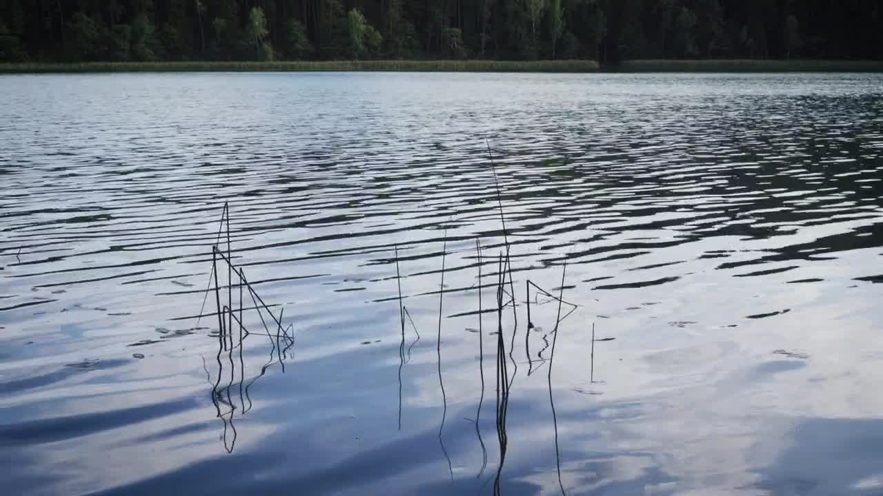 Download Stock Video Lake Water Surface Animated Wallpaper