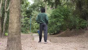 Stock Video Man In Sportswear Walking Scattered Through A Forest Animated Wallpaper