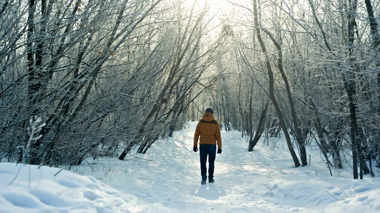 Download Stock Video Man In A Snowy Forest Greets The Camera Animated Wallpaper
