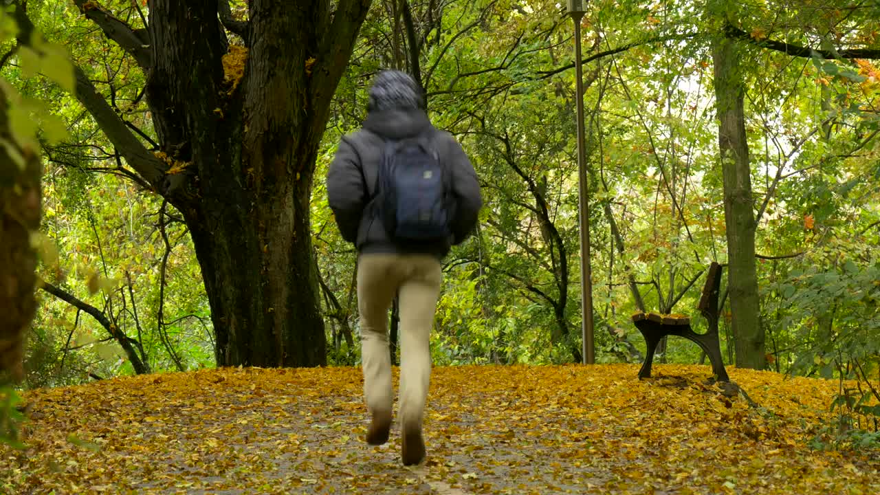Download Stock Video Man Hurries To Bench In A Park At Autumn Animated Wallpaper