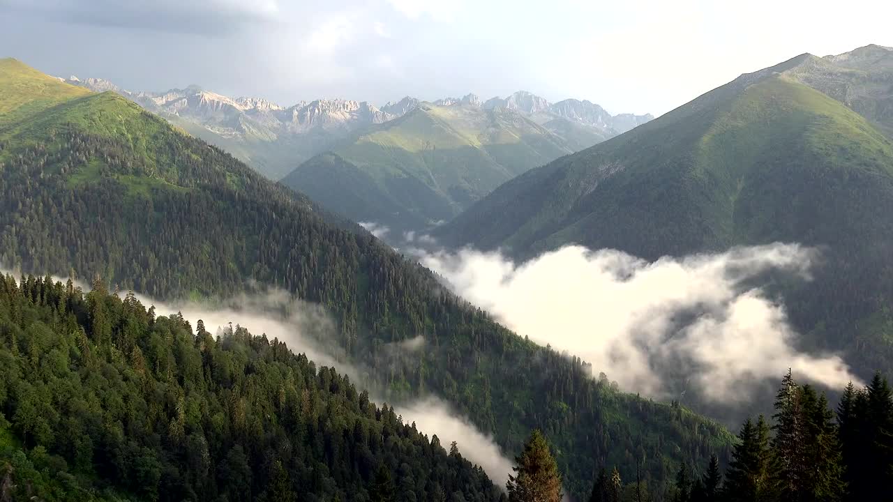 Download Stock Video Magnificent Mountain Forest Landscape With Clouds Animated Wallpaper