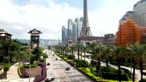 Stock Video Macau Street Traffic And Palms Animated Wallpaper
