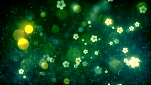 Stock Video Luminous Flowers And Glitter Background Animated Wallpaper
