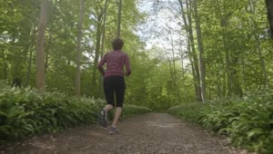 Stock Video Low Shot Of A Woman Running In The Woods Animated Wallpaper