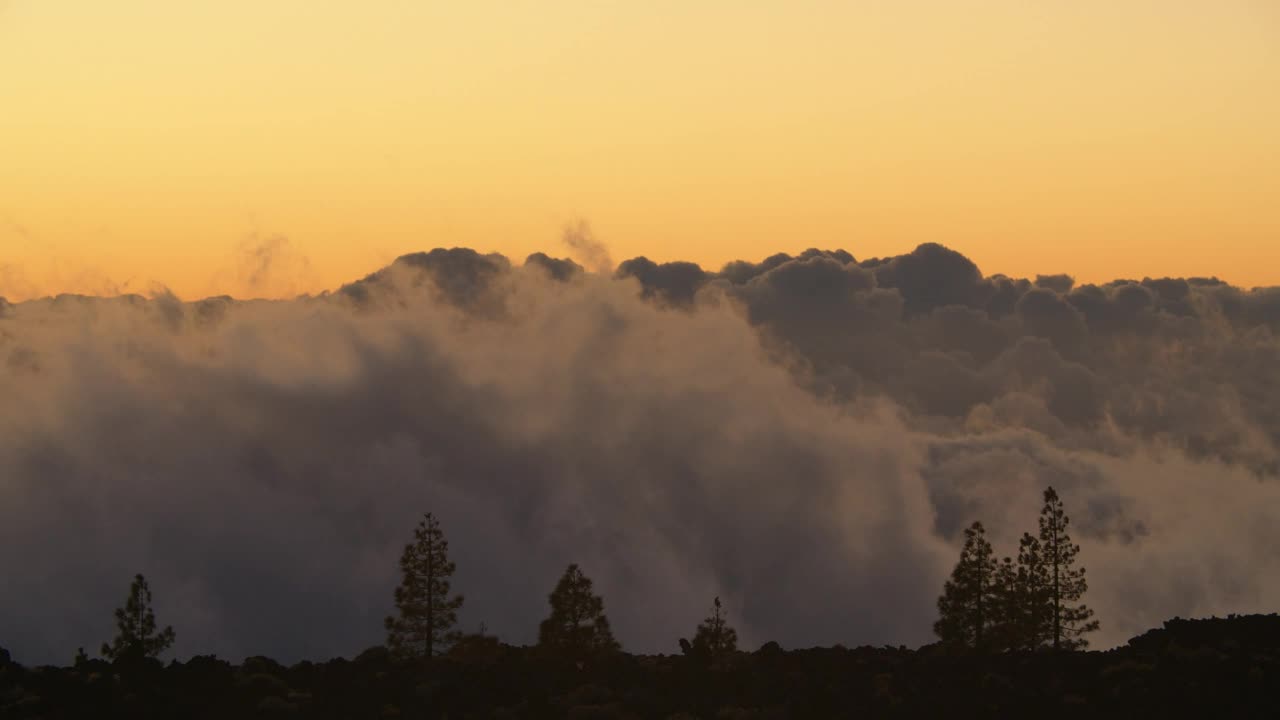 Download Stock Video Low Clouds Behind A Forest Animated Wallpaper
