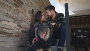 Stock Video Loving Couple Petting Their Dog Animated Wallpaper
