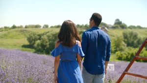Stock Video Lovers Walking Through A Lavender Field Animated Wallpaper