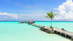 Stock Video Long Wooden Pier On A Paradisiacal Beach Animated Wallpaper
