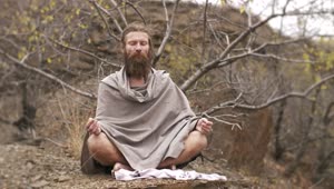 Stock Video Long Beard Man Meditating In The Forest Animated Wallpaper